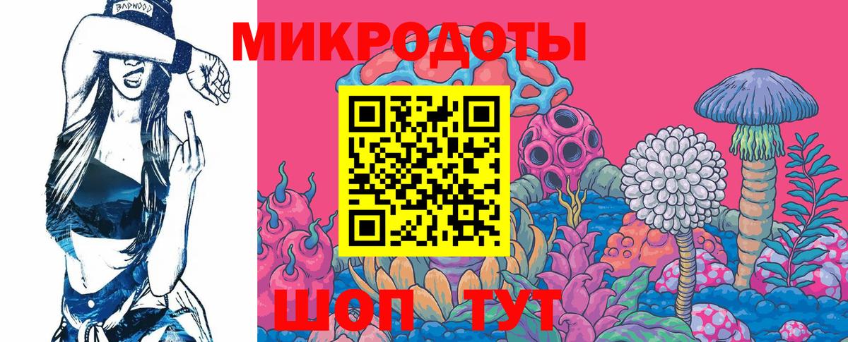 Псилоцибиновые грибы мицелий Солнечногорск